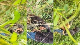 Famous Mallu Cpl BLowjob and Fucking OutDoor