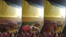 Horny Desi Bhabhi Wearing Cloths